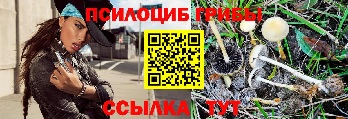 Кунгур  Галлюциногенные грибы ЛСД  Вход с VPN  Галлюциногенные грибы Magic Shrooms 